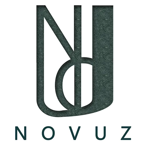 Novuz Construction logo, website redesign by Cognitech Digital Studio
